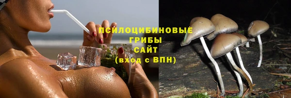 марки nbome Бородино